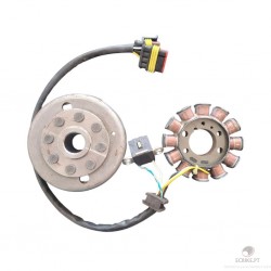 VOLANTE MAGNETICO TE-SMR 250-450-510 2007