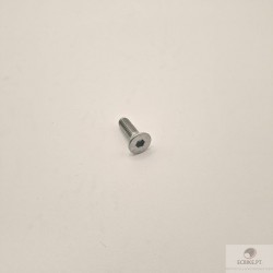 SCREW,  DA TAMPA DA CARCAÇA DO