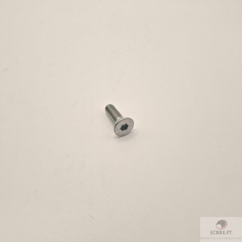 SCREW,  DA TAMPA DA CARCAÇA DO