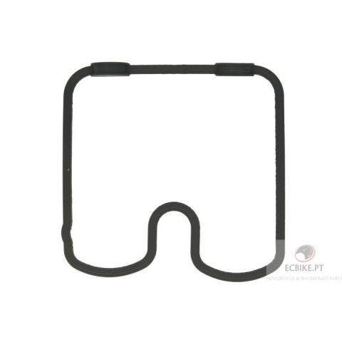 GASKET HEAD COVER 250-310 03-10