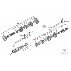 GEAR WHEEL