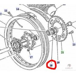 RING NUT